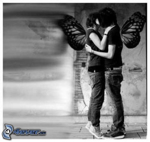 szerelem, emo, szárny, párocska, csók, ölelés