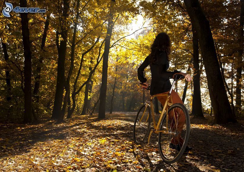 lány kerékpáron, nő a parkban, sárga fák, száraz levelek