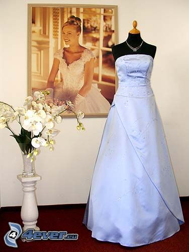 esküvői ruha, fehér, kép, Orchidea