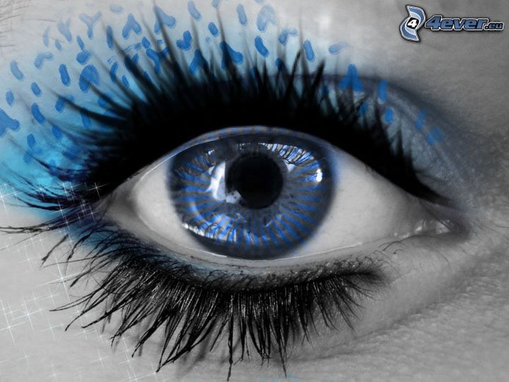 szem, kék, fekete, szempilla