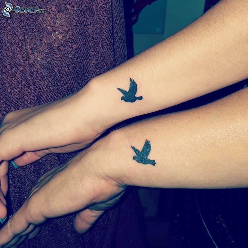 tetoválás, madarak