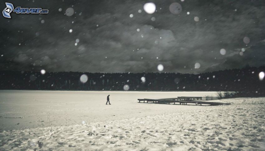 férfi, magányosság, befagyott tó, fa móló, hó, hóesés, fekete-fehér