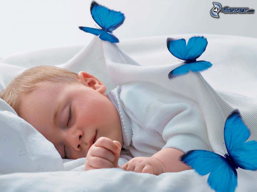 alvó baba, kék pillangók, pokróc