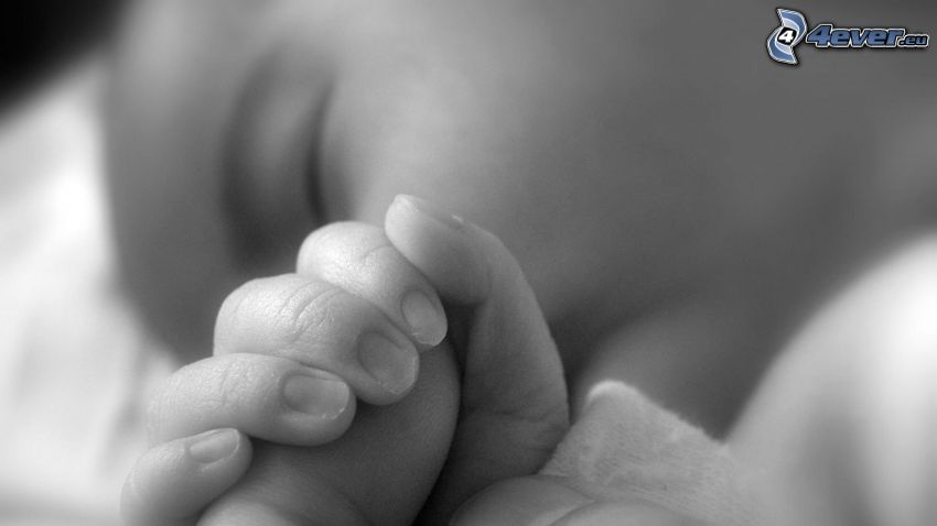 alvó baba, kéz, fekete-fehér kép