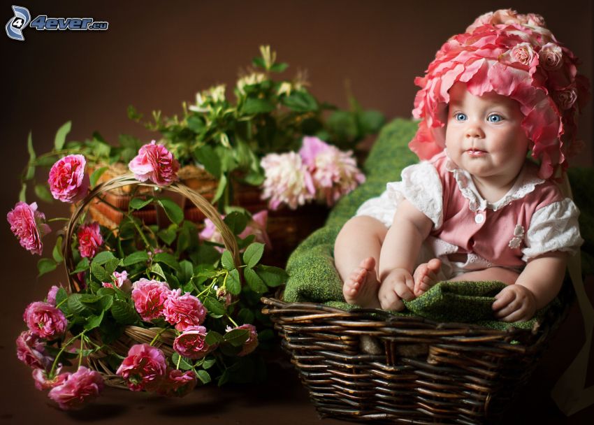 baba, kosár, rózsaszín virágok