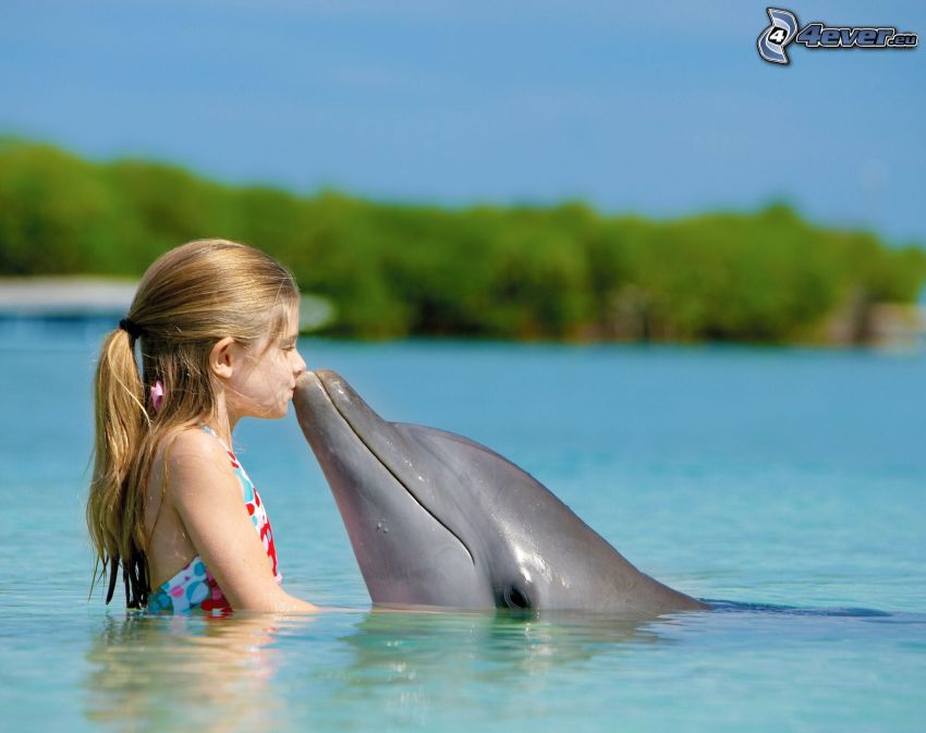 lány, delfin, csók, medence