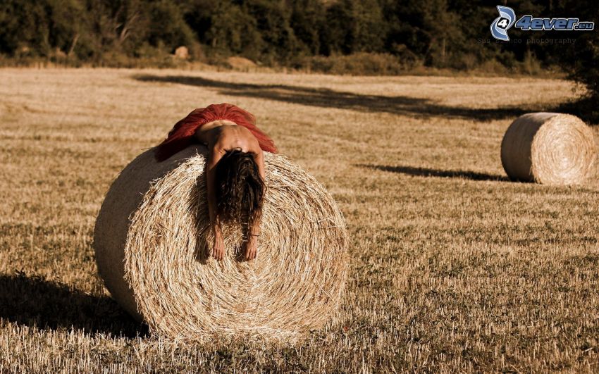 barnahajú, topless, széna aratás után