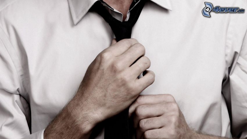 nyakkendő-kötés, férfi, kezek