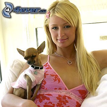 Paris Hilton, kutya
