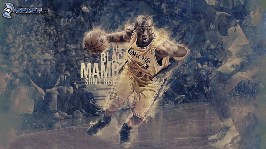 Kobe Bryant, kosaras