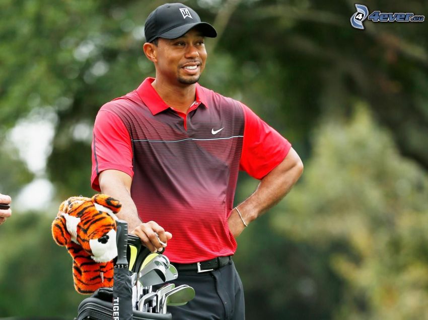 Tiger Woods, tigris, golfütők