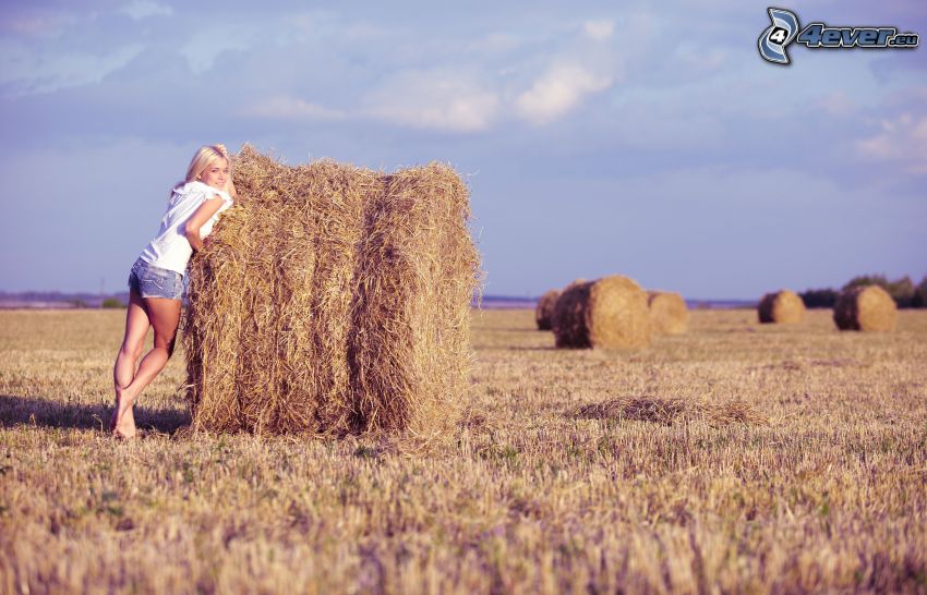 széna aratás után, lány a mezőn, szőke