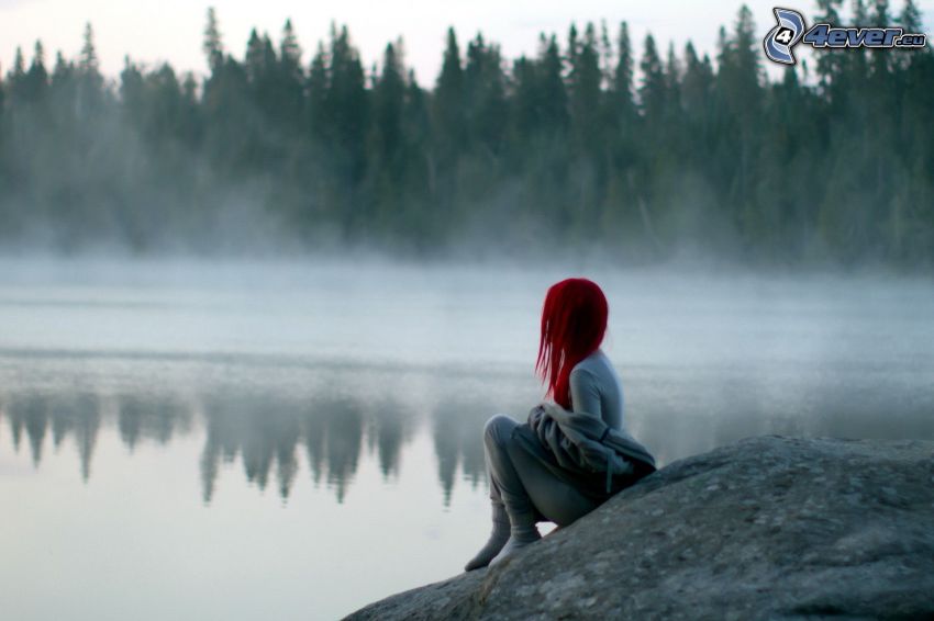 vöröske, tó az erdőben, földszinti köd