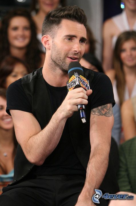 énekes, Maroon 5, Adam Levine
