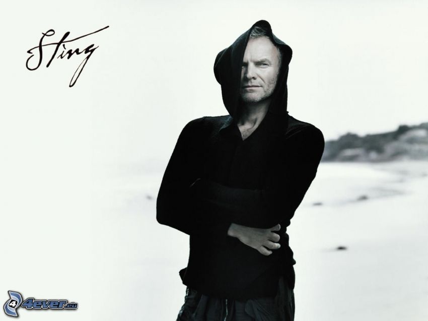 Sting, fekete-fehér kép