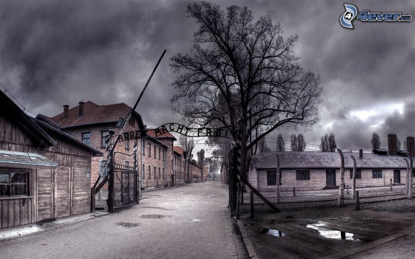 Auschwitz, házak, fa