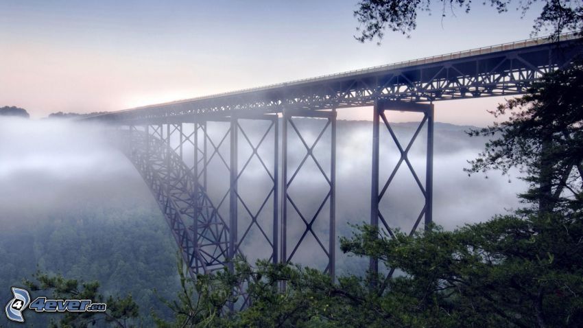 New River Gorge Bridge, köd az erdő fölött