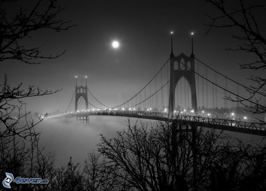 St. Johns-híd, kivilágított híd, hold, éjszaka