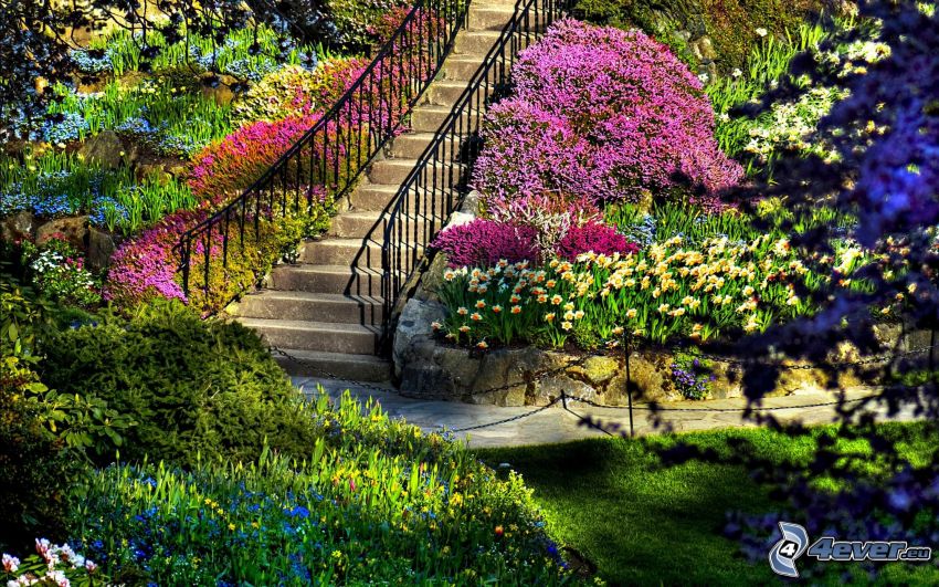 lépcső, színes virágok