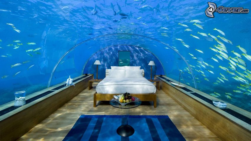 hotel Conrad, tenger alatti szoba, Maldív-szigetek, halak, azúrkék tenger