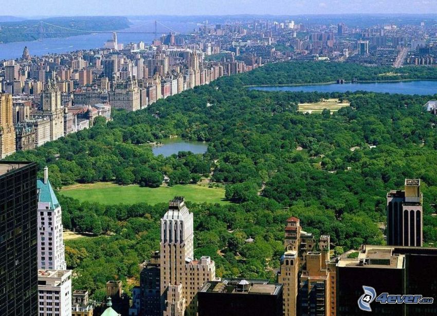 Central Park, New York, felhőkarcolók, fák, tavak