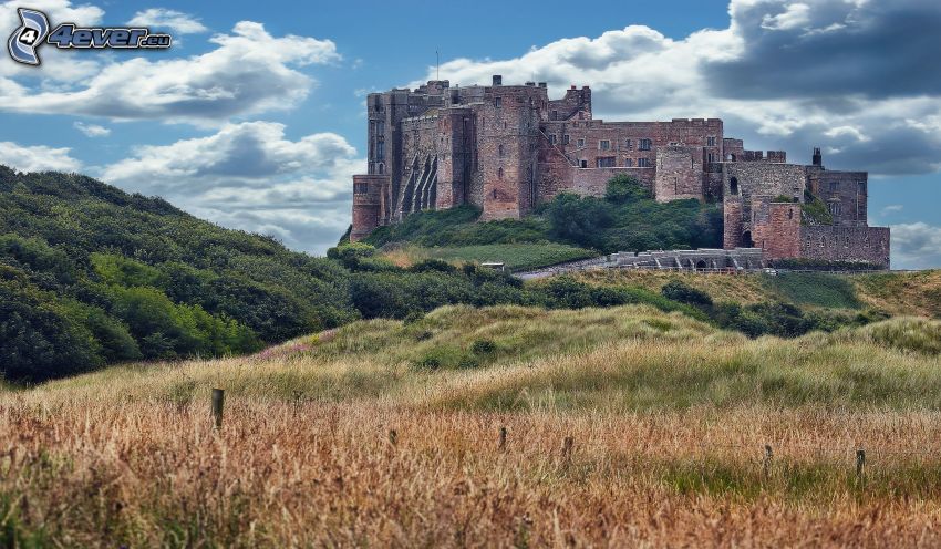 Bamburgh castle, bokrok, rét