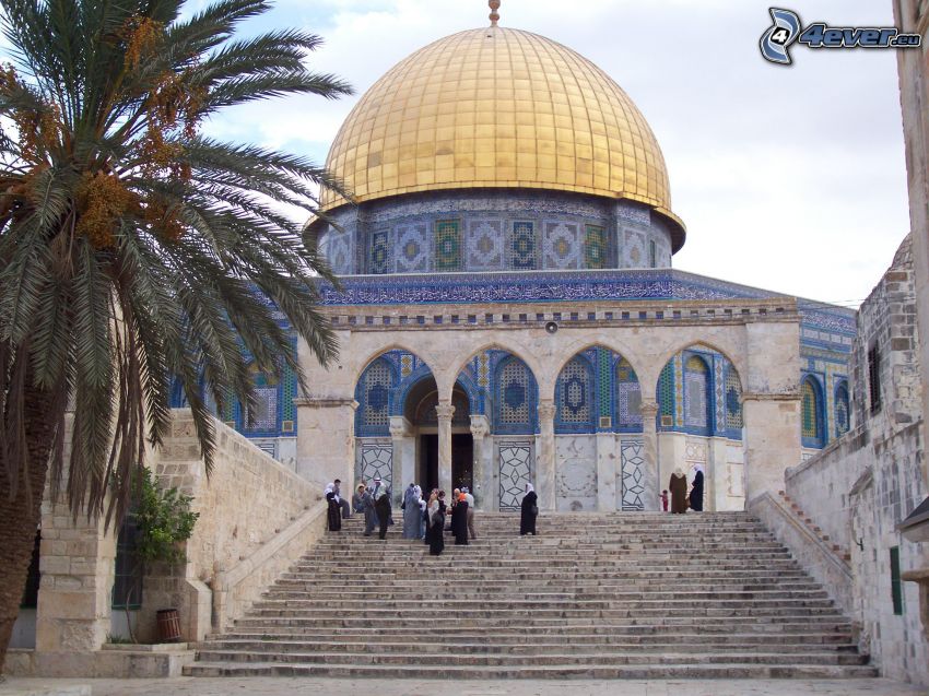Dome of the Rock, lépcső, pálmafa, Jeruzsálem