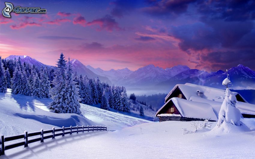 havas házikó, erdő, hegységek, hó, havas kerítés