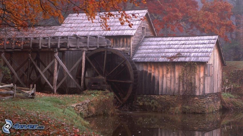 Mabry Mill, őszi levelek, folyó