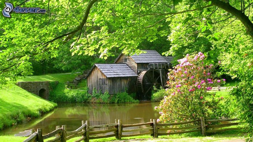 Mabry Mill, zöld fák, fakerítés, lila virágok, folyó