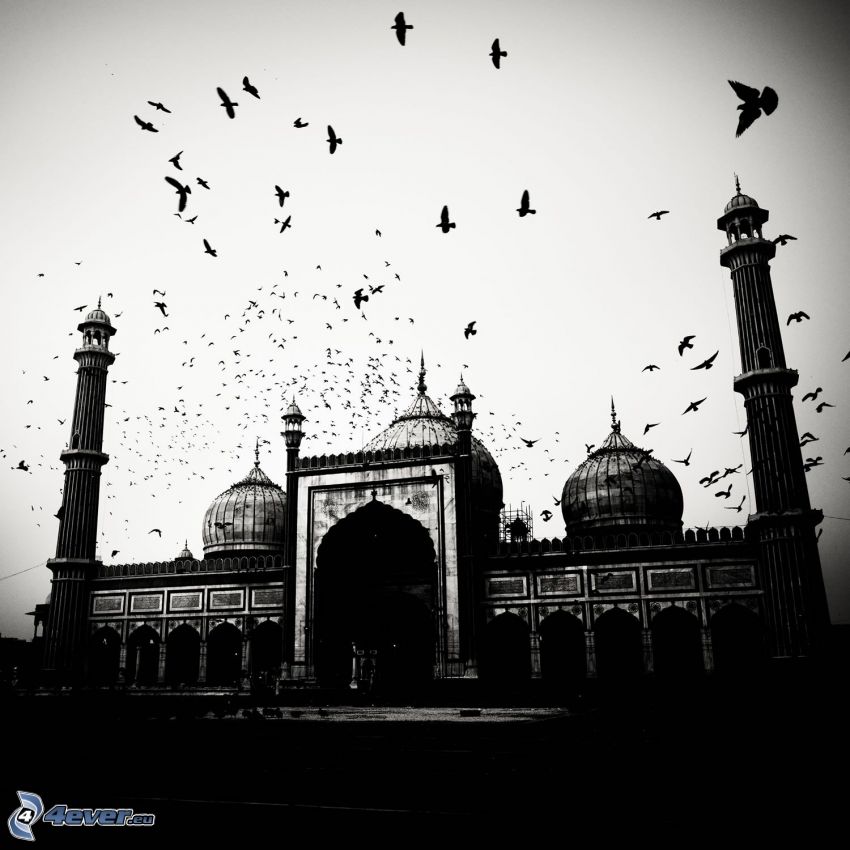 mecset, kapu, varjúszárnyak, fekete-fehér kép