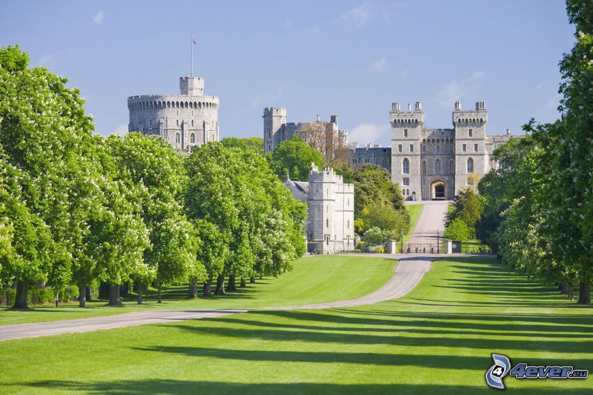 Windsori kastély, kert, park, zöld