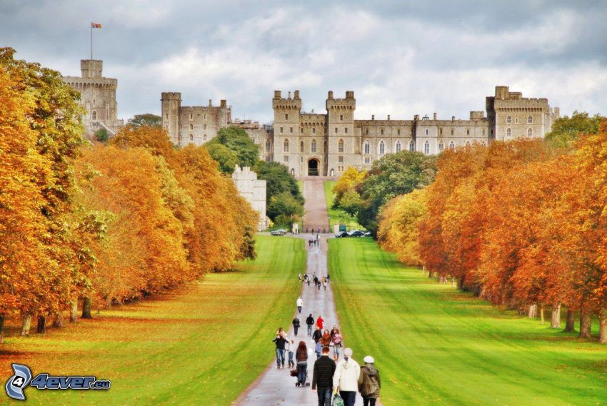 Windsori kastély, park, kert, turisták, őszi fák