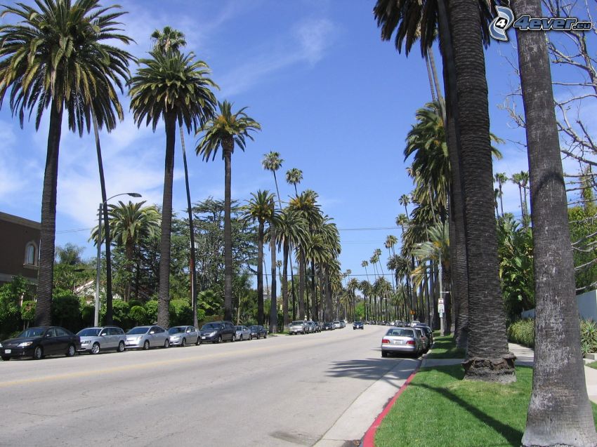 Beverly Hills, Los Angeles, Kalifornia, USA, utca