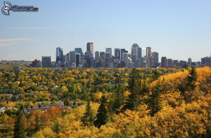 Calgary, felhőkarcolók, őszi fák