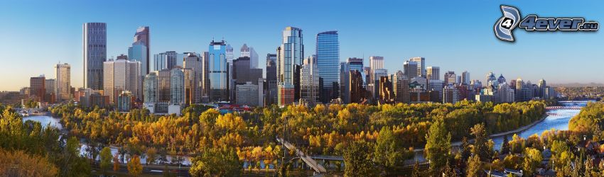 Calgary, panoráma, park, fák
