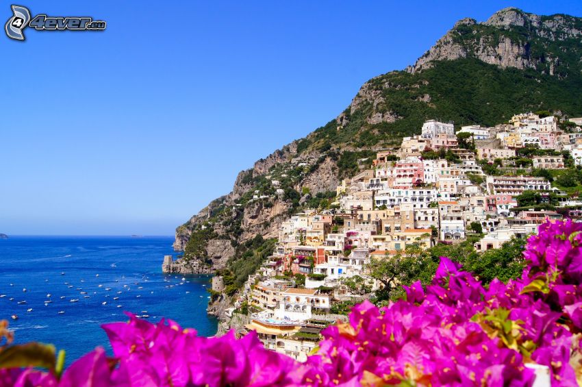 Costiera Amalfitana, tengerparti város, tenger, lila virágok