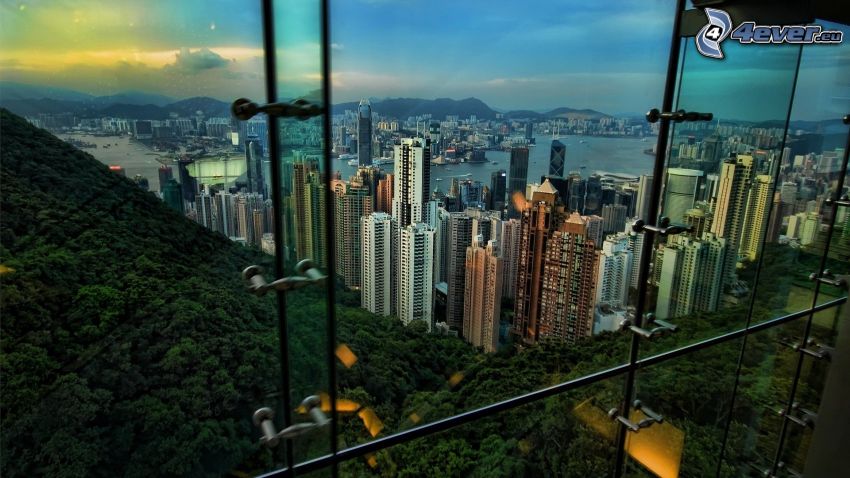 Hong Kong, felhőkarcolók, erdő