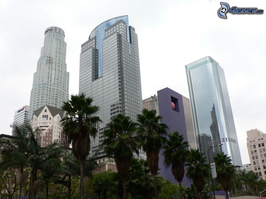 Los Angeles belvárosa, felhőkarcolók, pálmafák