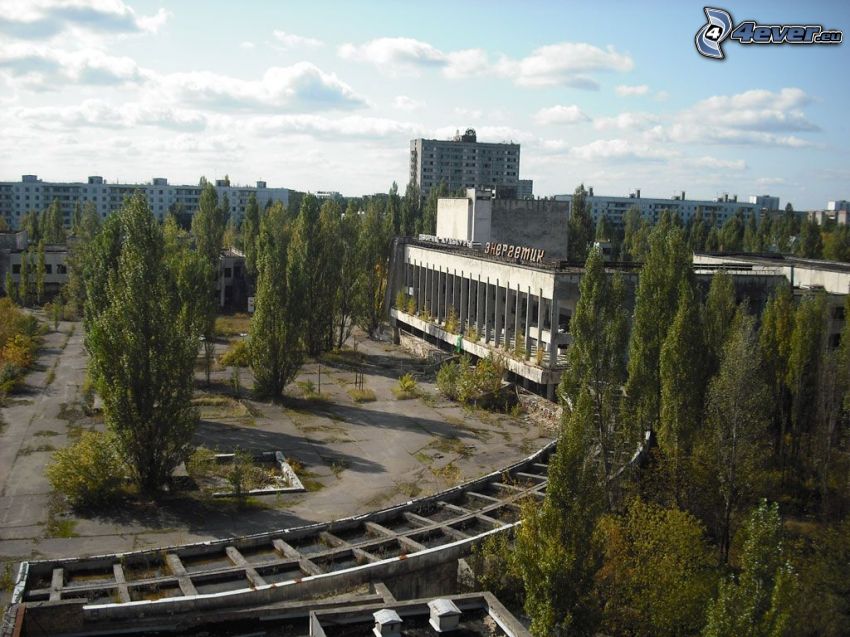 Pripjaty, Csernobil, panelházak, fák