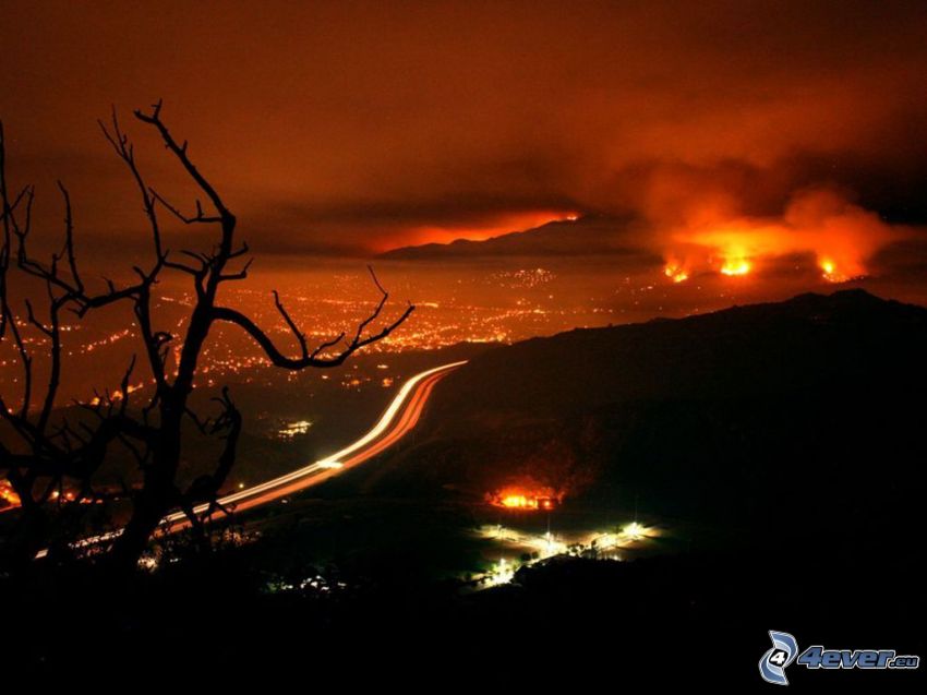 tűzvész, Los Angeles, országút éjjel, kiszáradt fák, fa sziluettje