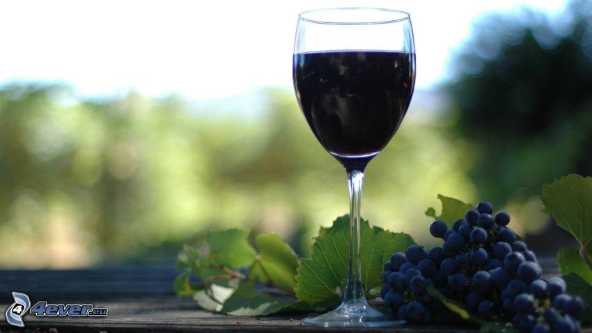 bor, szőlő, pohár