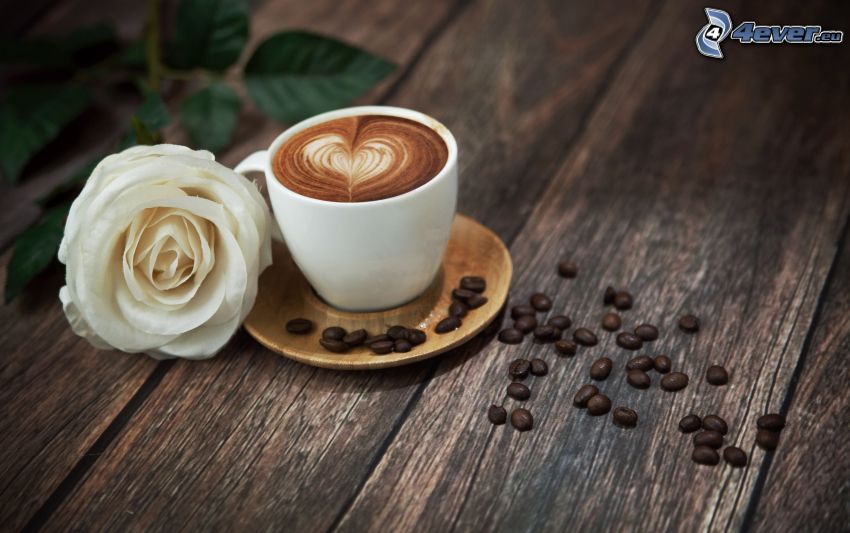csésze kávé, fehér rózsa, kávészemek, szivecske, latte art