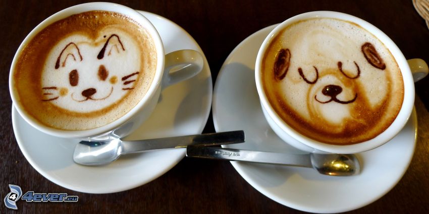 csésze kávé, latte art, macska, medve