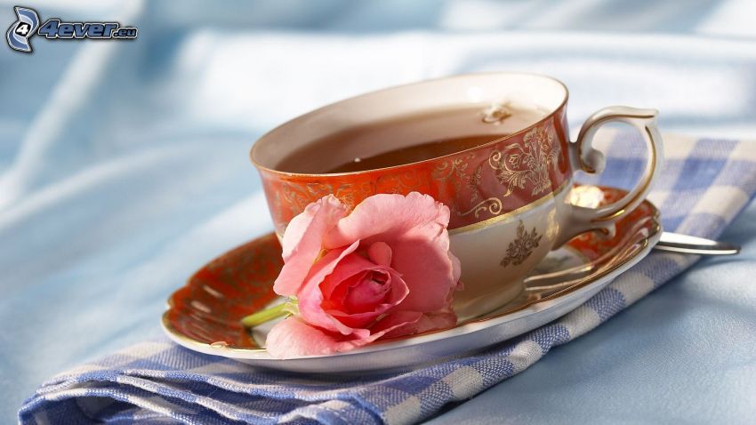 egy csésze tea, rózsa