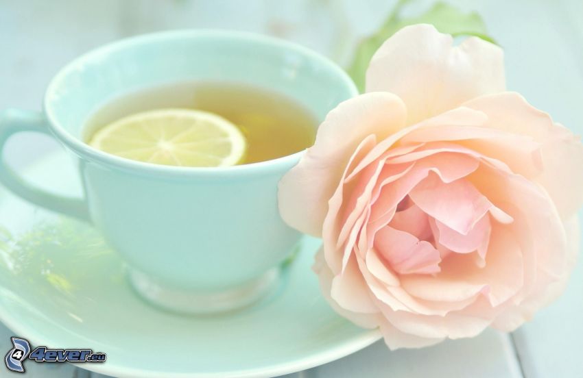 egy csésze tea, rózsaszín rózsa, citromszelet