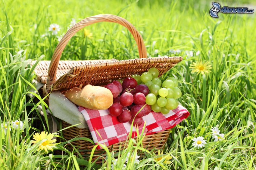 piknik, kosár, szőlő, baguette, fű, sárga virágok, fehér virágok