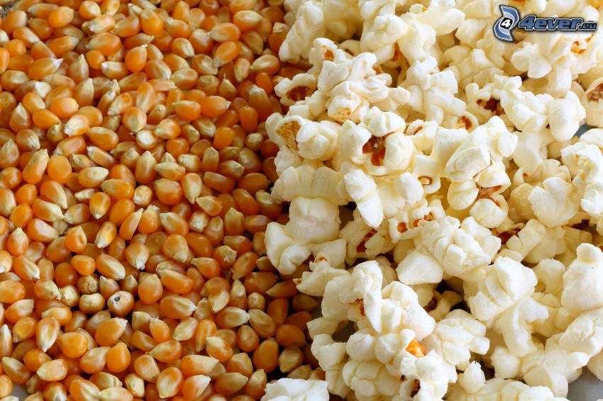 popcorn, pattogatott kukorica
