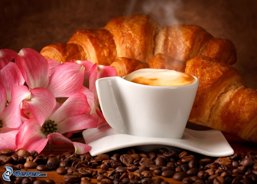 reggeli, csésze kávé, croissant, rózsaszín virágok