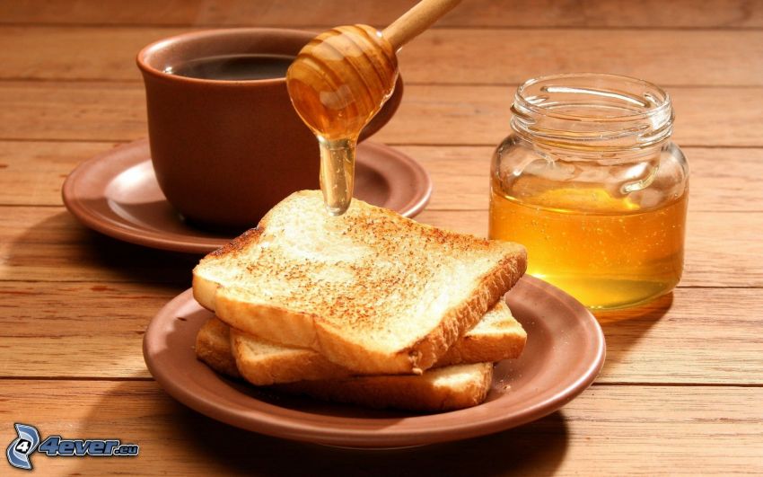 reggeli, toast, méz, egy csésze tea